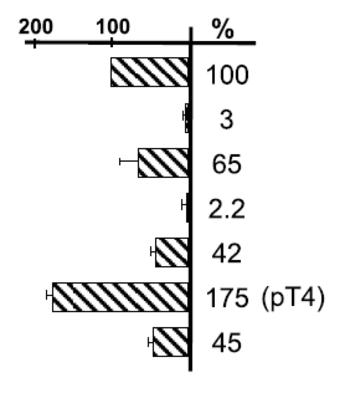 Improved Sleeping Beauty Transposon System for gene therapy: SB100X/pT4