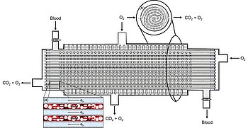 Fiber Membrane Oxygenator with Minimized Priming Volume