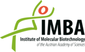 IMBA - Institute of Molecular Biotechnology