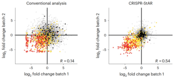 CRISPR StAR: facilitating high resolution genetic screening in complex in vivo models