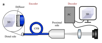 Ultra-thin imaging fiber endoscope using a diffuser as encoder and a deep neural network as decoder