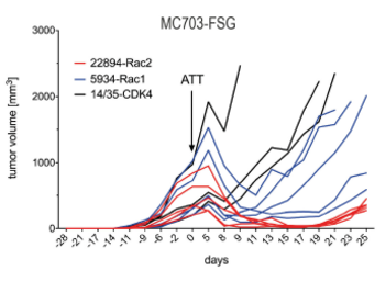 Human TCR constructs for adoptive cell therapy of cancer