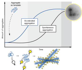 A FRET-based method to measure seeding activity of misfolded protein species in complex biological samples