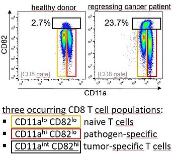 TCR-agnostic identification of tumor-specific T cells for cancer diagnostics and therapy