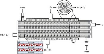 Fibre Membrane Oxygenator with Minimised Priming Volume