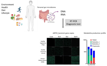 Diagnostic assay for determination of personal microbial metabolite production profile for nutritional adjustment