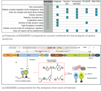 Non-invasive and high-throughput monitoring of exon-specific isoform expression