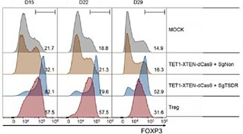 Epigenetic Editing Platform for Reprogramming Conventional CD4+ T-Cells into Stable, Functional Regulatory T-Cells