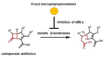 Overcoming resistance - Innovative broad-spectrum inhibitors of Metallo- β-lactamases