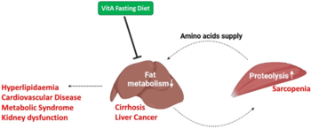 Nutritional compositions for treating dysfunction of liver fat metabolism – VAFD