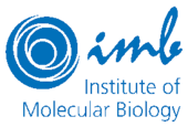 imb - Institute of Molecular Biology