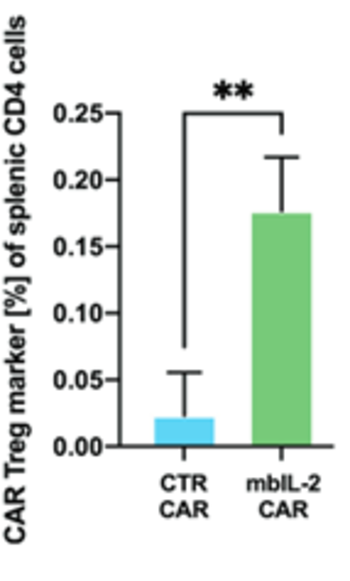 Maintenance of regulatory T cell phenotype by expression of IL-2 fusion protein