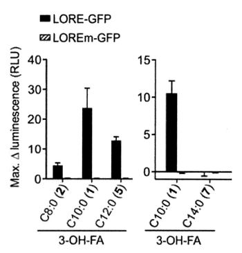Triggering of plant immunity through bacterial hydroxy fatty acid metabolites
