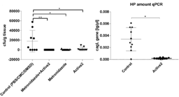 Oral Antimotilin-Based Inhibitors for Treating Helicobacter pylori&nbsp;Infections
