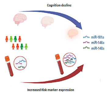 microRNA Signature Indicates Risk for Cognitive Decline