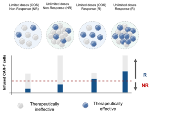 Method for Assessing Out-of-Specification (OOS) CAR T-Cell Products and Predicting Patient Response