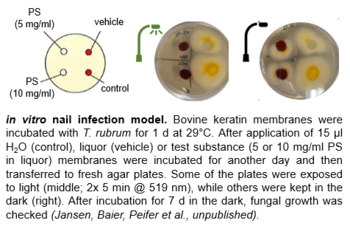 Keratinophile photosensitizers for safe and rapid treatment of onychomycosis