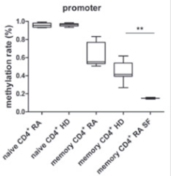 Functional IFN-gamma memory in CD4+ T cells: Method for improved T cell therapy and disease monitoring in autoimmune diseases