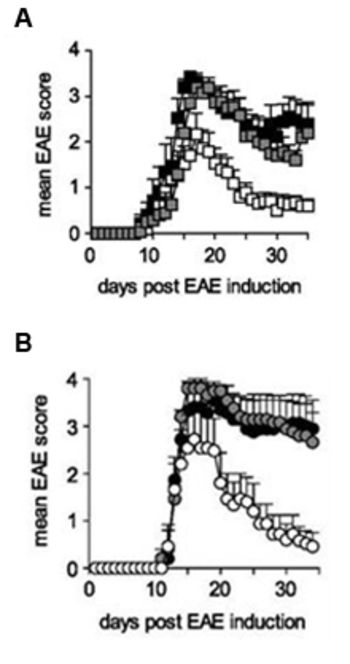 Quiescent B Cells for immune suppression in gene therapy