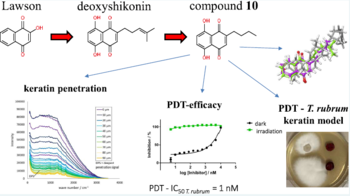 Keratinophilic photosensitizers for the photodynamic therapy of onychomycosis