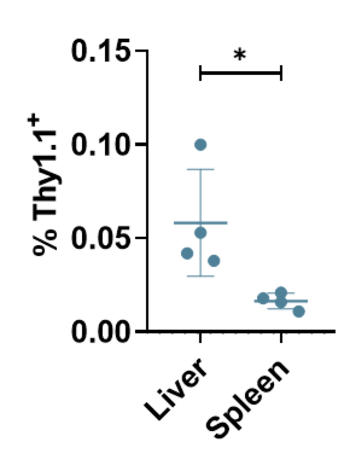 The ASGPR-CAR – a liver-specific chimeric antigen receptor