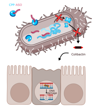 Non-Genetic Method for Controlling Biosynthetic Gene Cluster Operation