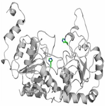 New Class of Bacterial Capsule Polymerases for Cost-Effective Synthesis of Glycoconjugate Vaccines