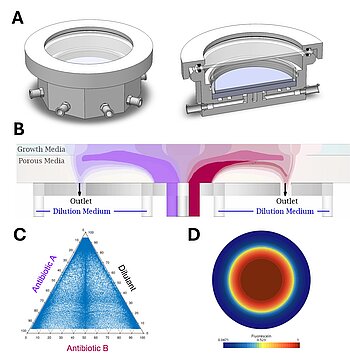 EvolChip - A Convection-Driven Gradient Reactor for the Rapid Generation of Drug Concentration Gradients