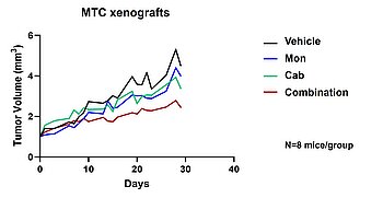 Drug combinations to overcome therapy resistance in cancer