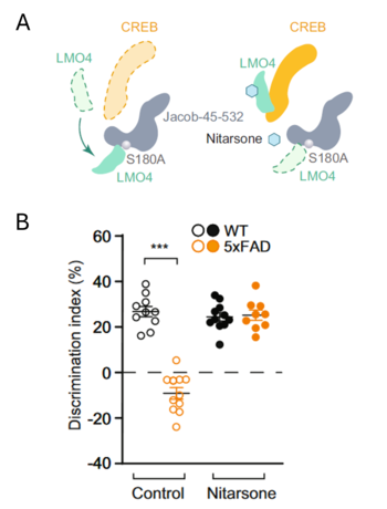 Novel Therapy for Treatment of Alzheimer´s Disease