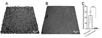Effective prevention of biofilm-associated infections on dental implants