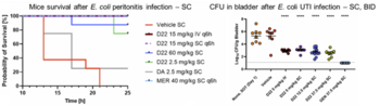 Best-in-class Darobactin derivate against Gram-negative Bacteria

