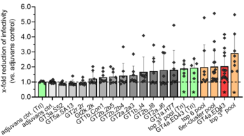 Functionally Selected HCV E2 Glycoproteins for a Broadly Protective Hepatitis C Vaccine
