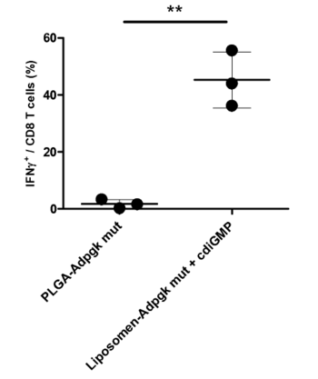 LS-COAT – an exceptionally efficient tumor vaccination approach