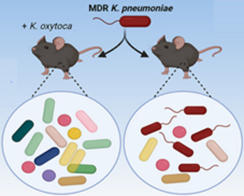 Next-Generation Probiotics