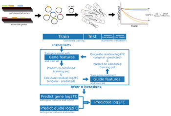Prediction for targeting efficiency of guide RNA for a gene of interest in bacteria
