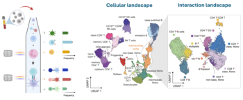 INTERACTEC - A Universal Cytometry‑Based Platform for Directly Mapping Physically Interacting Cells at Ultra‑High Scale