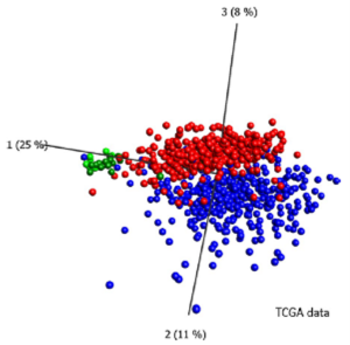 Epigenetic detection of early-stage non-small cell lung cancer in blood