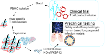 Immunosuppressant resistance in anti-viral T cell products&nbsp;