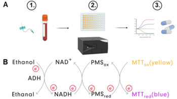 A scalable and highly sensitive assay for measuring extracellular NAD+ level in human body fluids