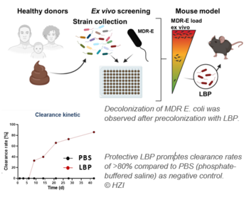 DeColi: Gut Decolonization of Multi-Resistant Escherichia coli