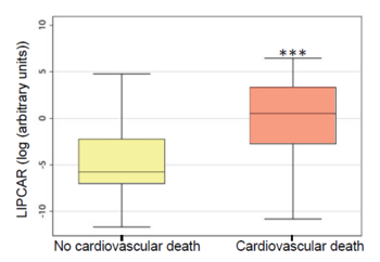 LncRNA LIPCAR predicts disease progression in heart failure and myocardial infarction patients