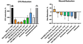 EutectoDerm: Deep eutectic solvent for topical treatment of wounds