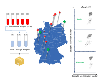 Flow cytometric basophil activation test for automated, high-throughput allergy diagnostics