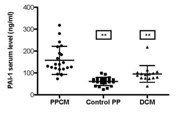 Novel diagnostic for Peripartum cardiomyopathy (PPCM) in pregnant women