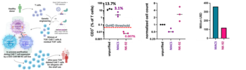 CD3-CAR NK-92 cell-mediated TCR+ depletion