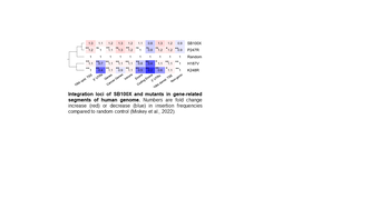 Safer Sleeping Beauty transposase variants with improved integration profiles&nbsp;