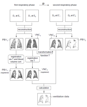 Time-efficient assessment of pulmonary function via CT with low radiation doses