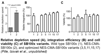 Sleeping Beauty transposase variants with increased safety due to reduced half-life