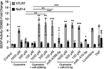 RNA Sequence Motif for Agonists of the Human Toll-like Receptor 7 (TLR7)